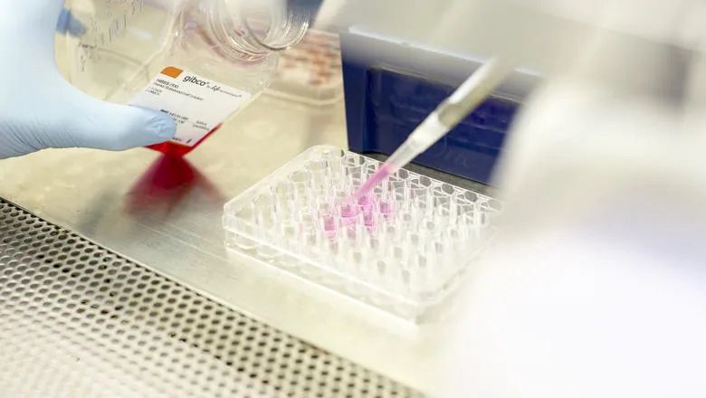 WhatsApp Image 2025-03-13 at 14.18.21_2f540ebc